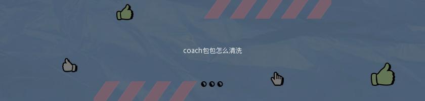 coach包包怎么清洗(蔻驰包包清洗保养翻新)